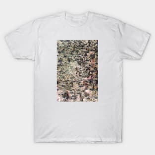 Old torn tree T-Shirt